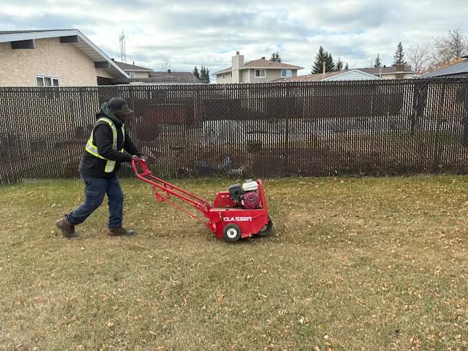 An Edmonton landscaper — Spring Cleanup & Yard Removal